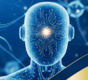 The Journal of Artificial Intelligence Applications and Ethics icon